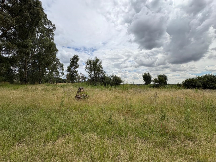 0 Bedroom Property for Sale in Vaalpark Free State